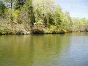 Logan Martin Coosa River