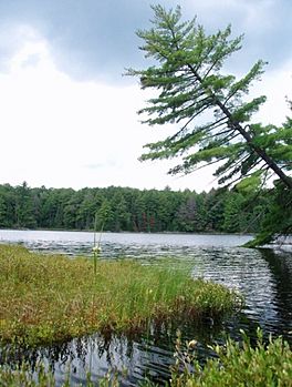 Michigan's Fisher Lake.jpg