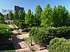 Minneapolis Sculpture Garden 02.jpg