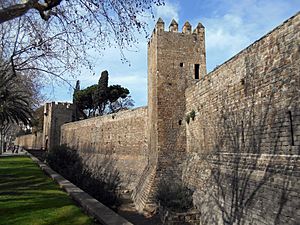 Muralla Raval