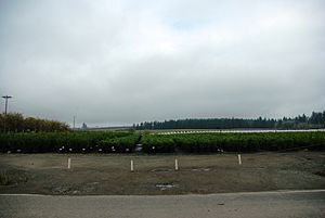 Nursery at Kansas City - Oregon