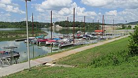 Marina with boats