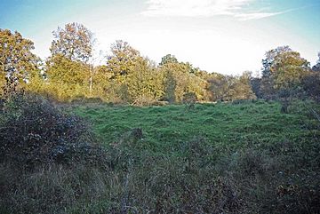 Portingbury Hills (geograph 2149815).jpg