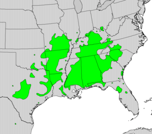 Rhamnus caroliniana map.png