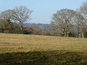 Sapperton Meadows (6).jpg