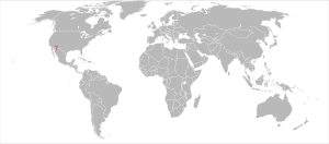 Sciurus arizonensis range map.svg