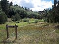 Sign by Bluewater Lake trailhead