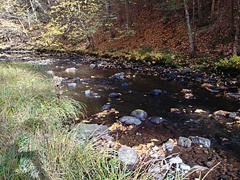 Stillwater River Sterling Massachusetts.jpg