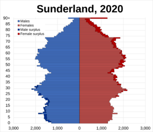 Sunderland pop pyramid