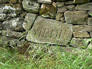 Talking wall - geograph.org.uk - 1441325