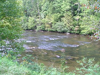 Tellico River.jpg