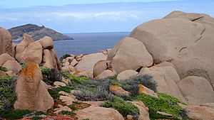 Top of Pearson Island, Pearson Island Rock Wallaby, Investigator Group Conservation Park, South Australia