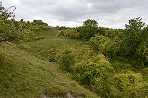 Totternhoe Chalk Quarry 5.JPG