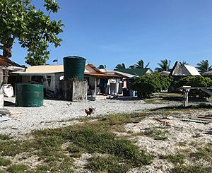 Water tanks and weeds