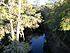 Withlacoochee River East of FL 575.JPG