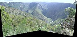 Wollomombi view