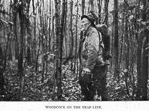 WoodcockTrapLine