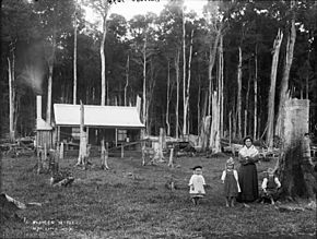 A pioneer settler from The Powerhouse Museum Collection