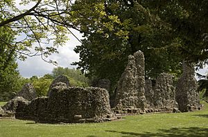 Abbey Ruins WM