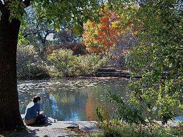 Alfred Caldwell Lily Pool October