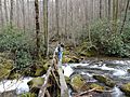 AventCabinJakesCreekBridge