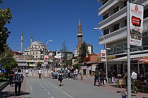 Bolu Izzet Baysal Caddesi june 2019 3097