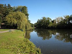 Brueton Park - geograph.org.uk - 559259.jpg