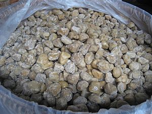 Burmese jaggery.JPG