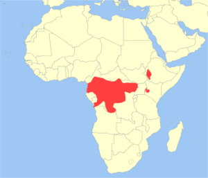 Cercopithecus neglectus distribution.svg