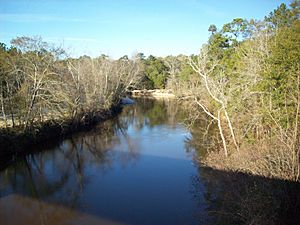 Choctawhatchee River, US 84 Bridge