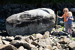 Des Moines Beach erratic front.JPG