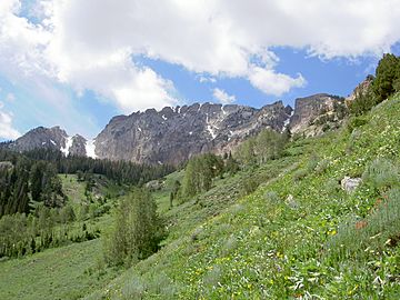 Deseret Peak.jpg