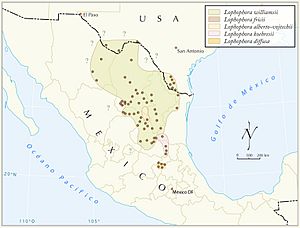 Distribución del Peyote