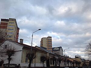 Downtown Suceava