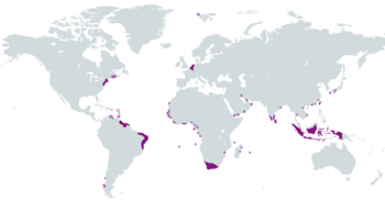 The Dutch colonial empire