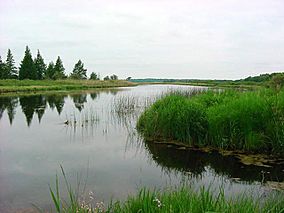 Fox River National Wildlife Refuge.jpg