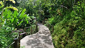 HTBG Walkway