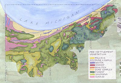 Habitats of the Dunes (2)