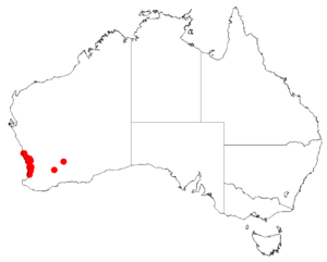 Isopogon drummondiiDistMap15.png