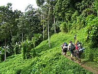 Kokoda track Papua New Guinea.JPG