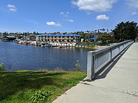 Lake View from Bridge