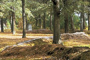 A wooded scene, with tall trees and a leafy carpet. Mounded earthworks about 2 feet (0.5 m) high snake through the scene.