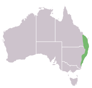 Malurus lamberti distribution map.svg