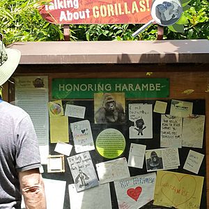 Memorial to Harambe