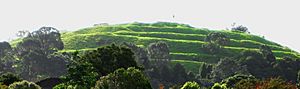 Mt Eden terraces