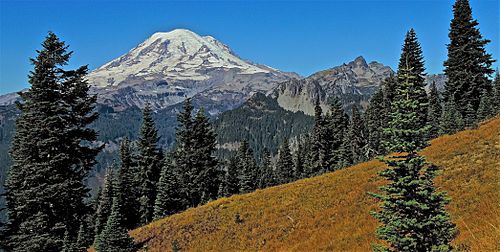 Mt Rainier, above the meadow