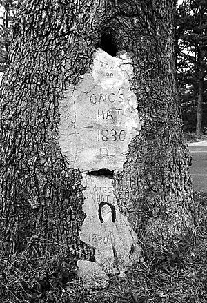 Ong's Hat tree