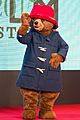 Paddington "Paddington" at Opening Ceremony of the 28th Tokyo International Film Festival (22241813459) (cropped)