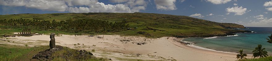 Colour photo showing a sandy beach with edge of the sea on the far right, and an ahu with several moai on the far left. Background is a grassy slope with a palm tree grove at the foot, foreground is a grassy area with a lone Moai