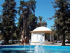 Plaza de Armas Molina